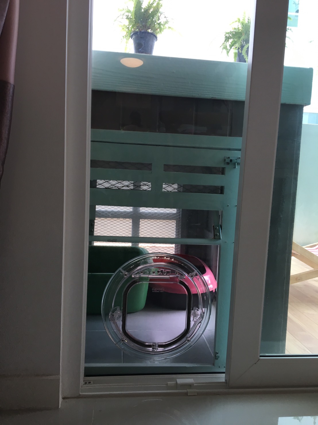 ประตูแมวติดกระจก