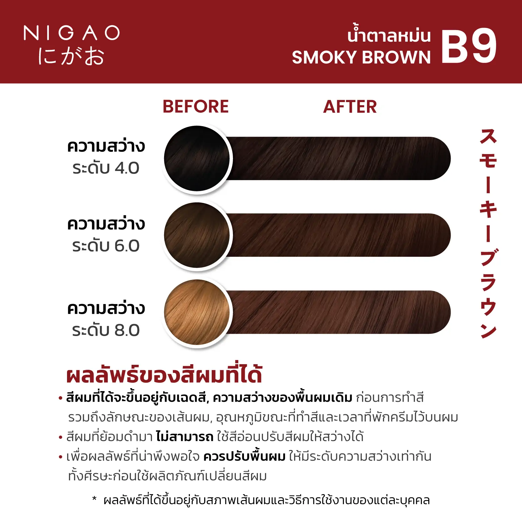 Nigao Hair Color Fashion 100 ml. #B9 Smoky Brown นิกาโอะ ครีมย้อมผมปราศจากแอมโมเนีย B9-สีน้ำตาลหม่น 100 มล. (ไม่แถมไฮโดรเจน)