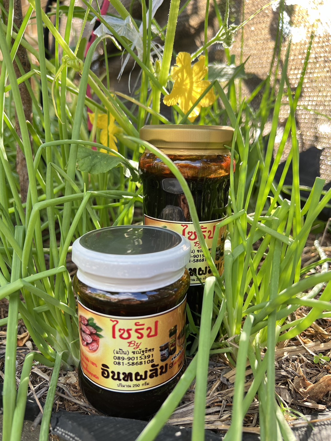 อินทผาลัมไซรัป (ขวดเล็ก250กรัม) *ไม่มีน้ำตาล