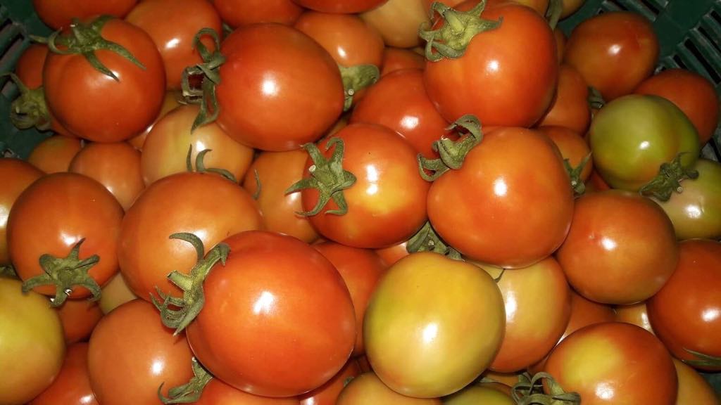 เปิดจอง มะเขือเทศลูกท้อ บรรจุ500กรัม รอสินค้า