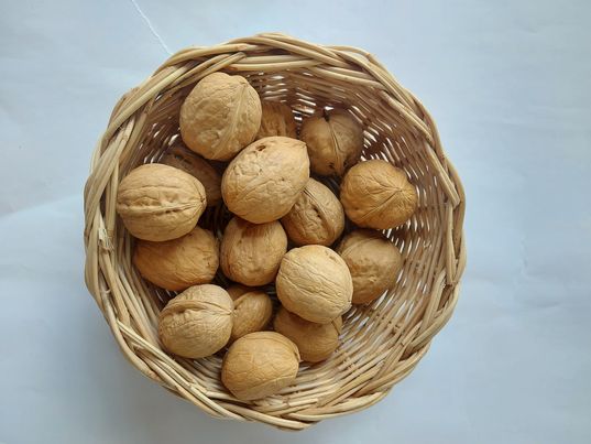 เม็ดวอลนัล สินค้าใหม่ 500 กรัม