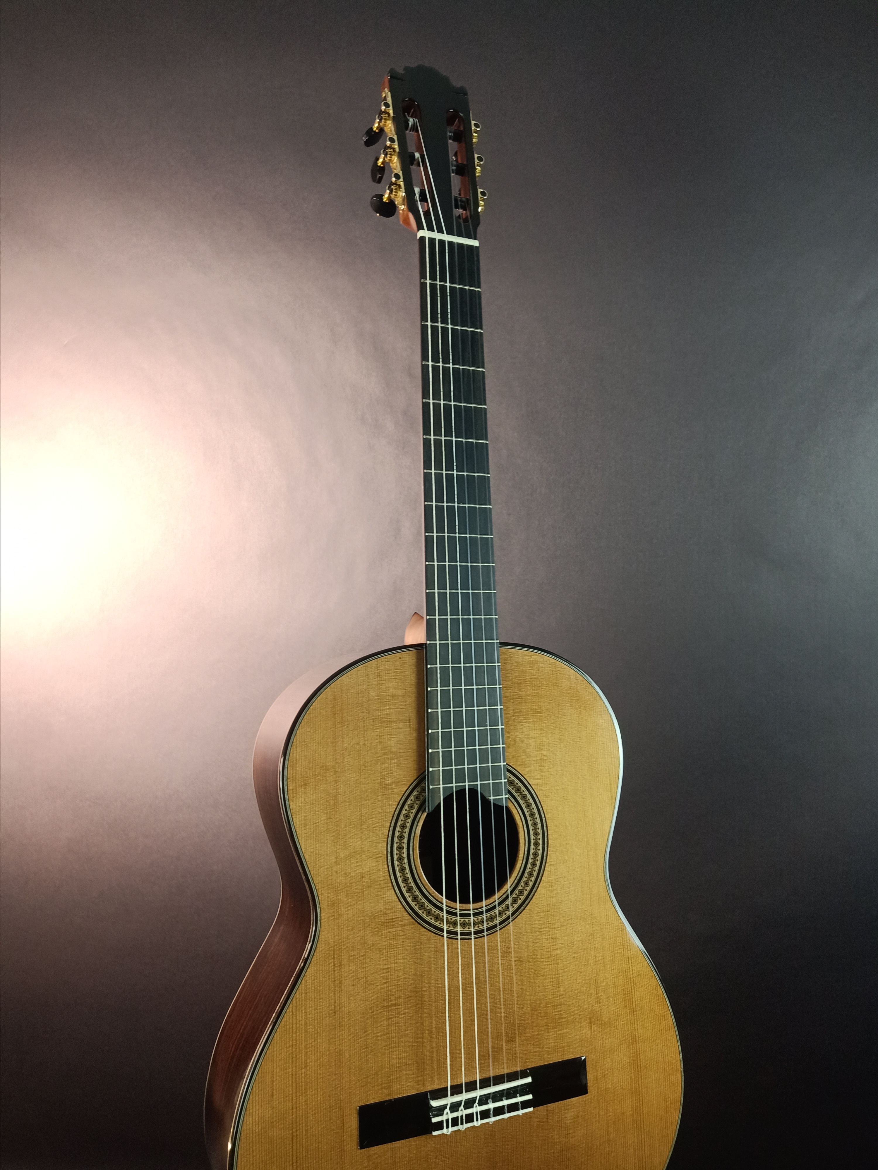 กีต้าร์คลาสสิค Martinez Lacttice Series LT12