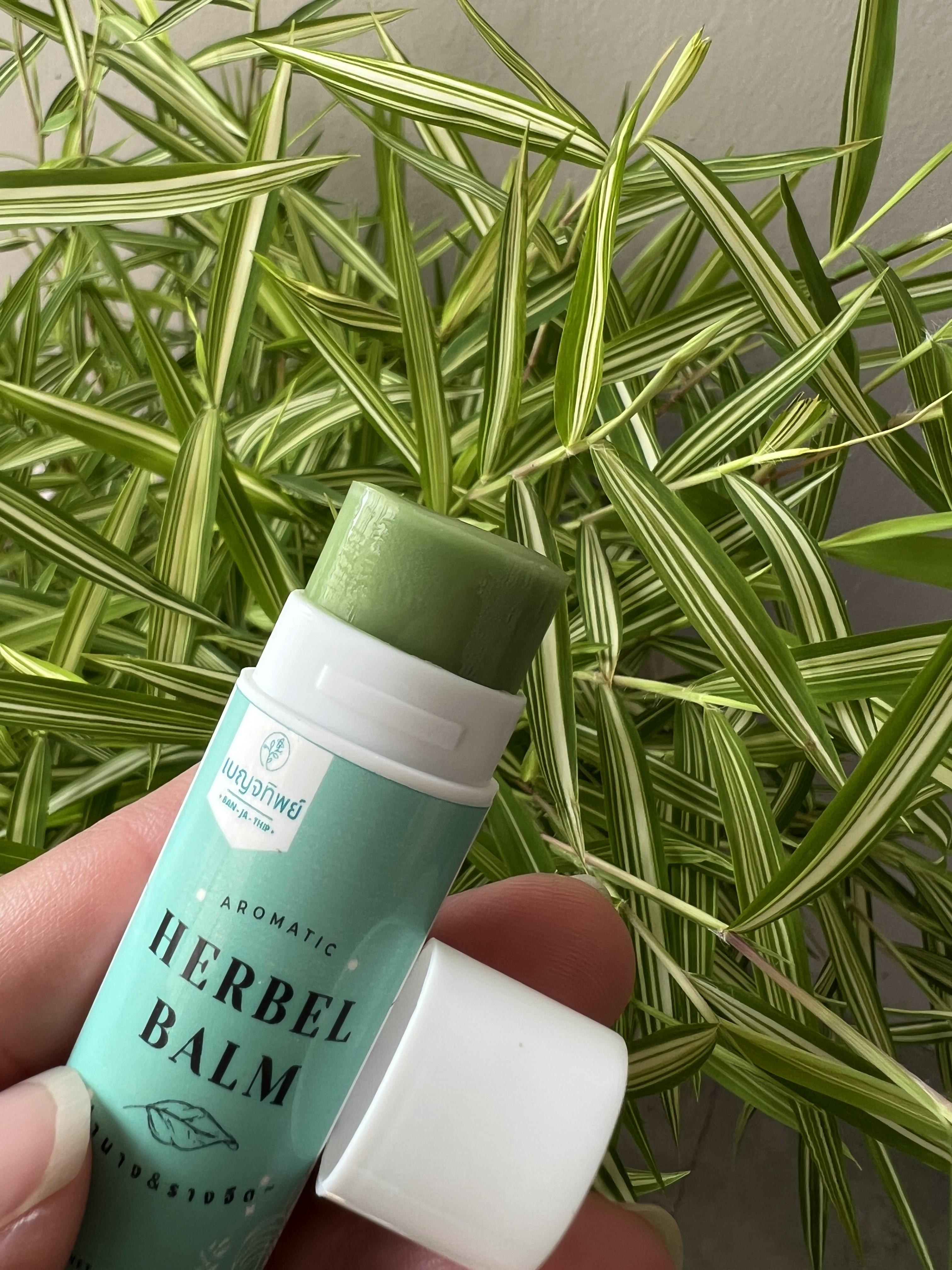 เบญจทิพย์ บาล์มสมุนไพรแท่ง สูตร ย่านาง&รางจืด ขนาด 15 ml.