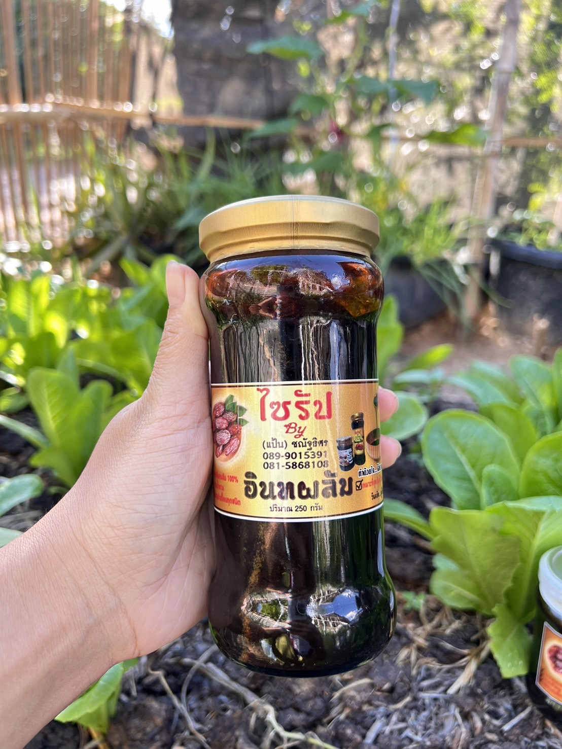 อินทผาลัมไซรัป (ขวดใหญ่500กรัม) *ไม่มีน้ำตาล