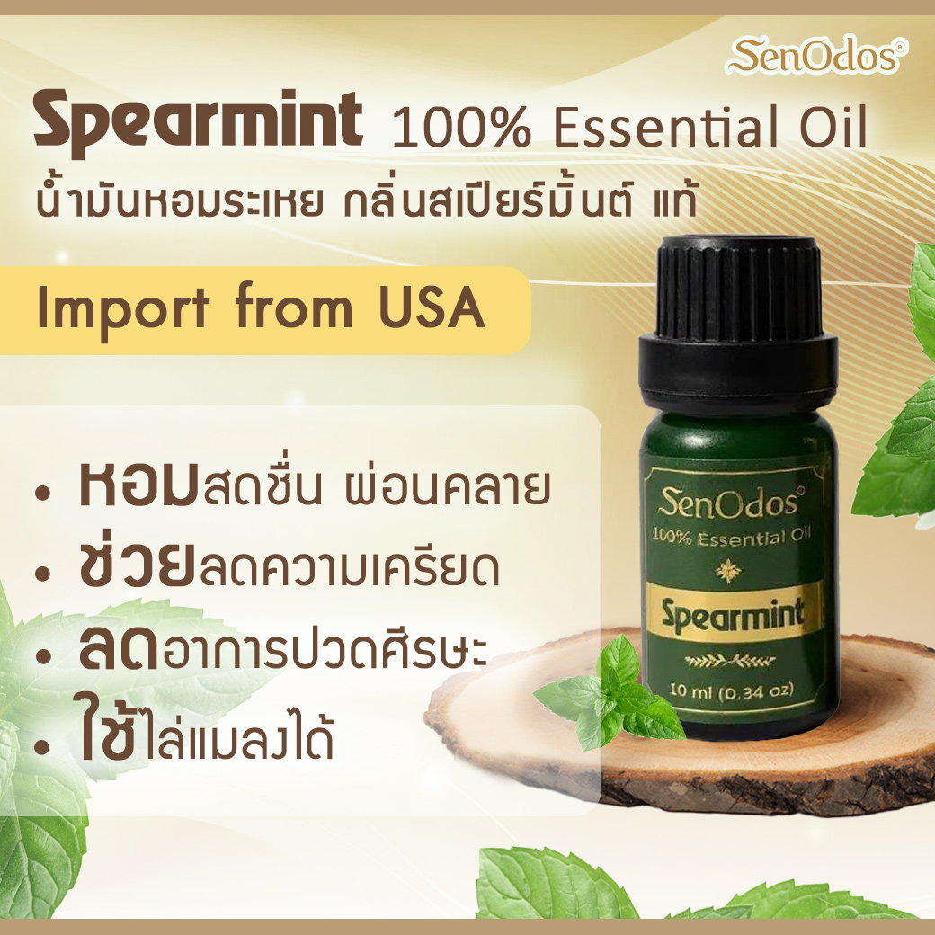 SenOdos Spearmint Pure Essential Oils น้ำมันหอมระเหยแท้ กลิ่นสเปียร์มิ้นต์ 10 ml.