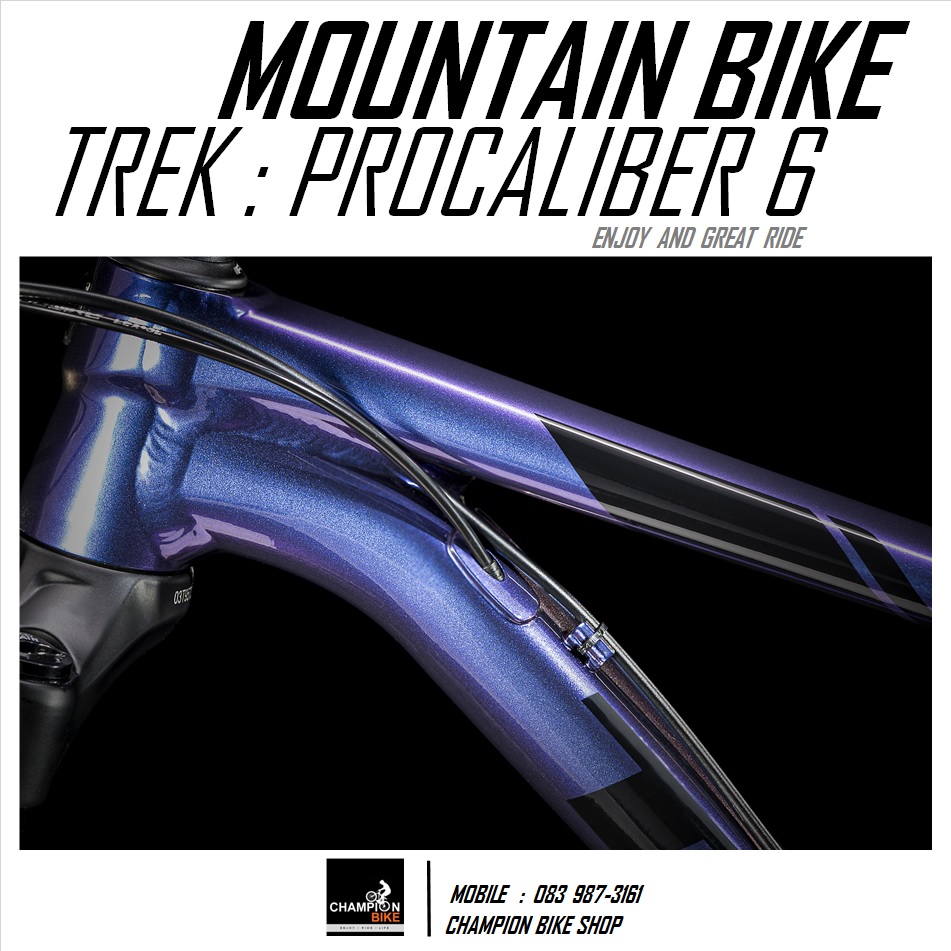 จักรยานเสือภูเขา TREK : PROCALIBER 6 MOUNTAIN BIKE - 2020 สีม่วง-ดำ