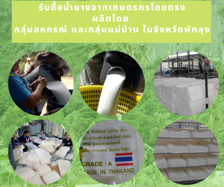 "พอเพียง" หมอนยางพาราแท้100% เกรด A ทรงสี่เหลี่ยม