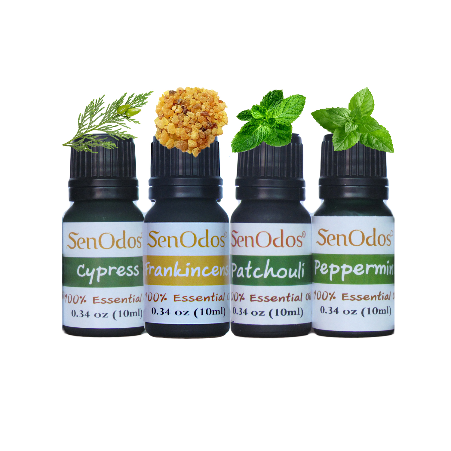 SenOdos ชุดเตาเผา น้ำมันหอมระเหย อโรม่า ชุดกลิ่นสำหรับผู้ชาย 1 Essential Oil For Men 1 Set1 10 ml x 4 กลิ่น (กลิ่นแพทชูลี่, กลิ่นเปปเปอร์มินต์, กลิ่นไซเปรสซ์, กลิ่นกำยาน)