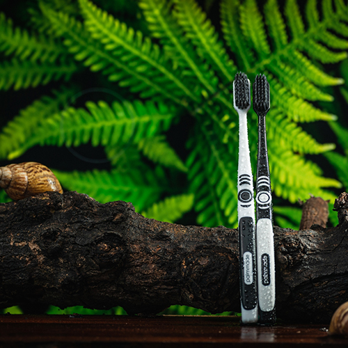 19067-แปรงสีฟัน แบล็ค ไดมอน เฟิร์น บอสตัน (12 ชิ้น)