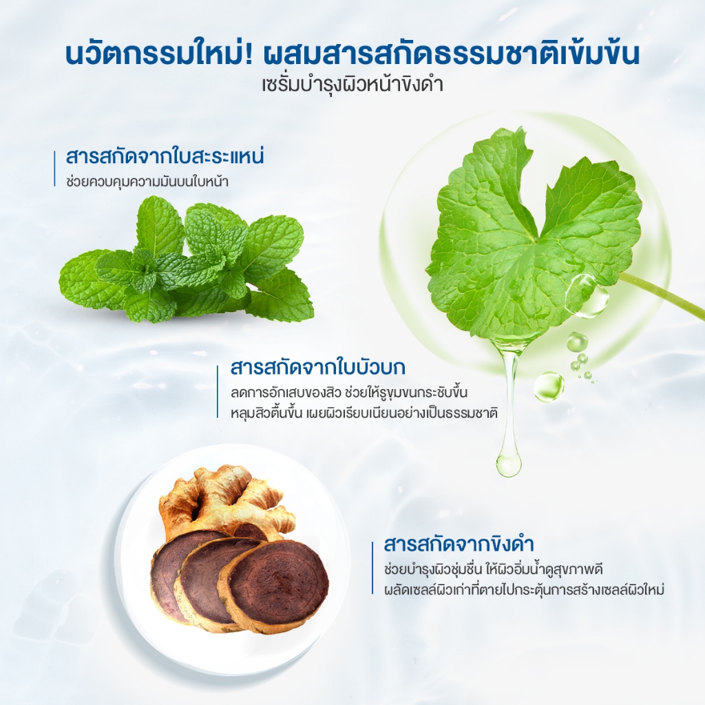 (ยกกล่อง) Jula's Herb Black Ginger All in one Men Serum จุฬาเฮิร์บ เซรั่มบำรุงผิวหน้าขิงดำ กระจ่างใส คุมมัน กระชับรูขุมขน (ยกกล่อง 8มล.x6ซอง)