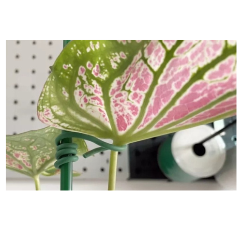 ลวดมัดต้นไม้ ลวดผูกต้นไม้ ลวดขึงสแลน ลวดเพาะชำ ลวดผูกป้าย ลวดบอนไซ ลวดคล้องป้าย ลวดมัดงานเกษตร ลวดลวดมัดสแลน หุ้มแบบกลม-บจก.พลาสติกแอนด์ไวร์โปรดัก SKU-00118