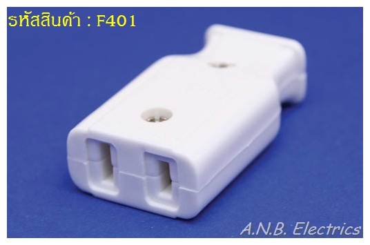 ปลั๊กตัวเมีย (Plug socket)