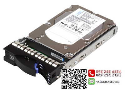 IBM, 59Y5460, 59Y5336, FC5417, FC5513, FC4203, IBM 600GB, 15K, 4Gbps, FC E-DDM, for DS4700, EXP810, DS5020, EXP520
