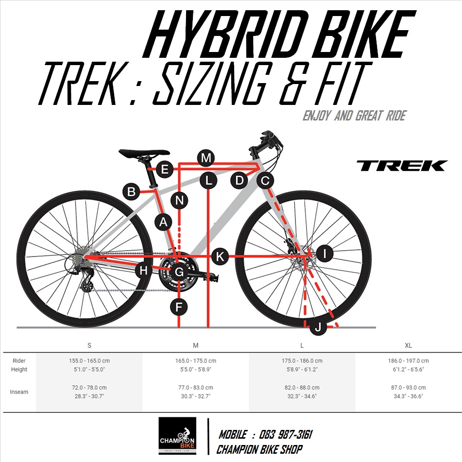 จักรยานไฮบริด TREK DUAL SPORT 2 DISC HYBRID BIKE - 2021 สีเทาเมทัลลิค-เงิน