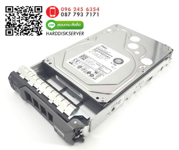 DELL,ST33000650NS,3TB,7.2K,3.5,SATA 6GB,Hard,drive