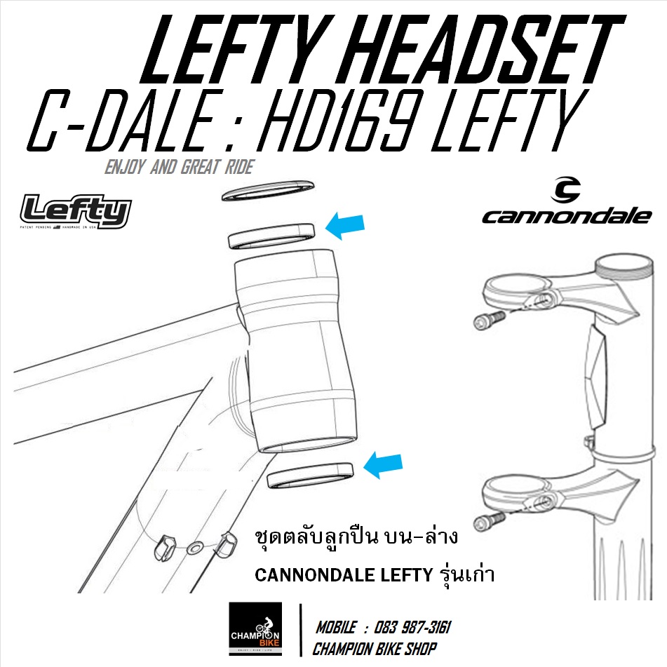 ลูกปืนคอLEFTY 40x51x7mm ENDURO : HD169 CANNONDALE LEFTY / HEADSHOK BEARING SI HEADSET