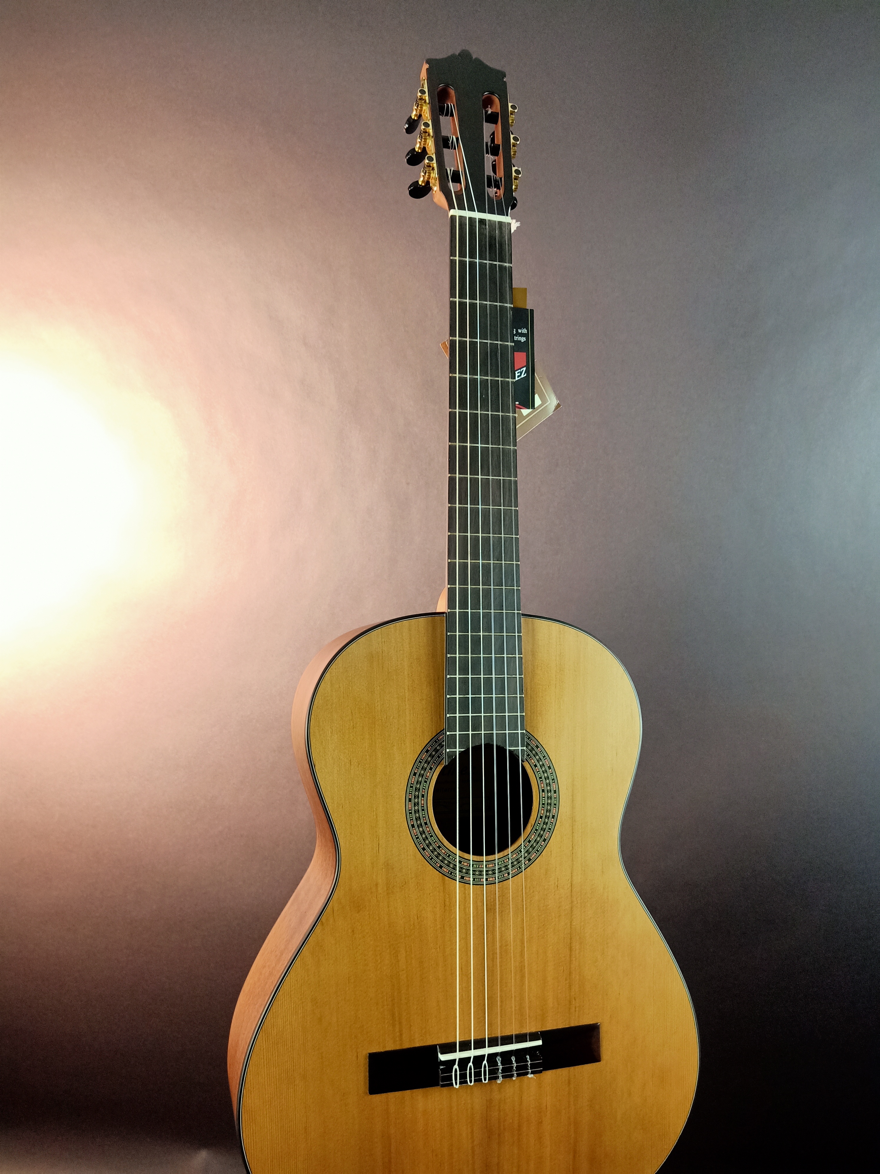 Martinez Model Prelude