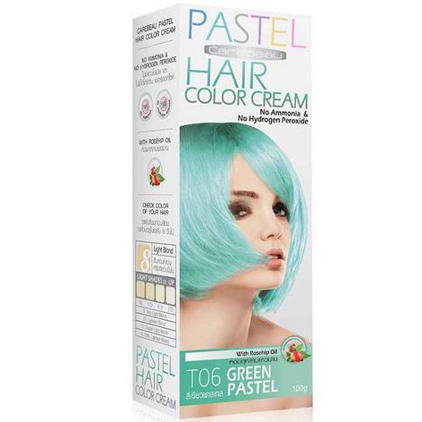 CAREBEAU PASTEL HAIR COLOR CREAM #T06 Green Pastel 100 G. ครีมเปลี่ยนสีผมแคร์บิว พาสเทล 100 g. ไม่มีแอมโมเนีย และ ไฮโดรเจน เปอร์ออกไซด์ T06- สีเขียวพาสเทล