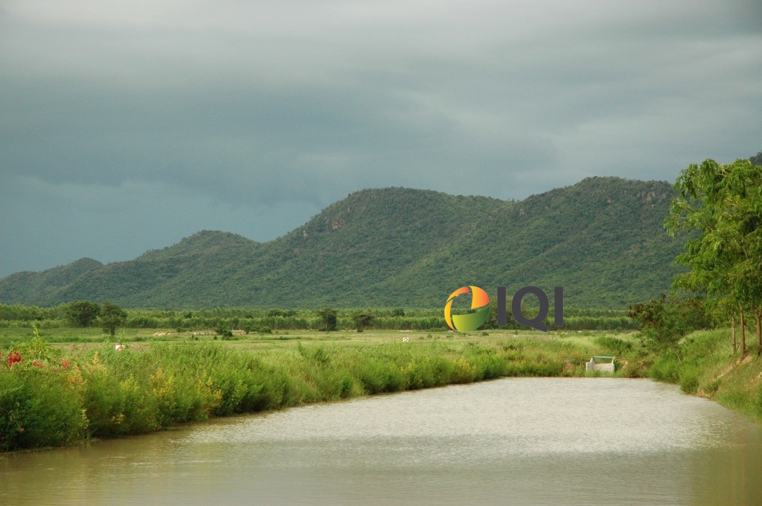 ขายที่ดินเปล่า ถมแล้ว ทำเลดี ตำบลหนองประดู่ อำเภอเลาขวัญ จังหวัดกาญจนบุรี