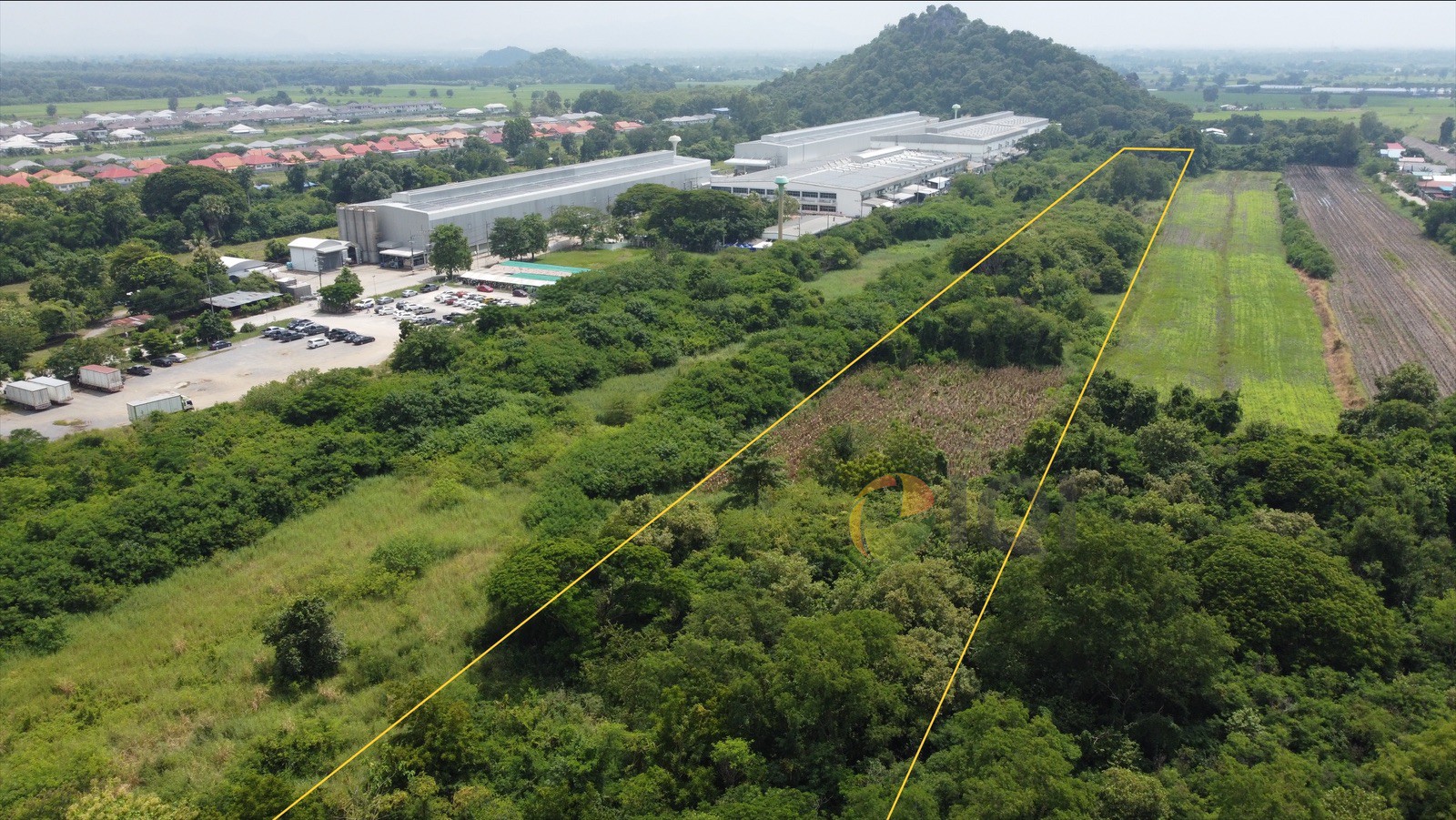 ขายที่ดิน 21-1-78 ไร่ พื้นที่ผังสีชมพู (ชมพู) อำเภอเมืองลพบุรี