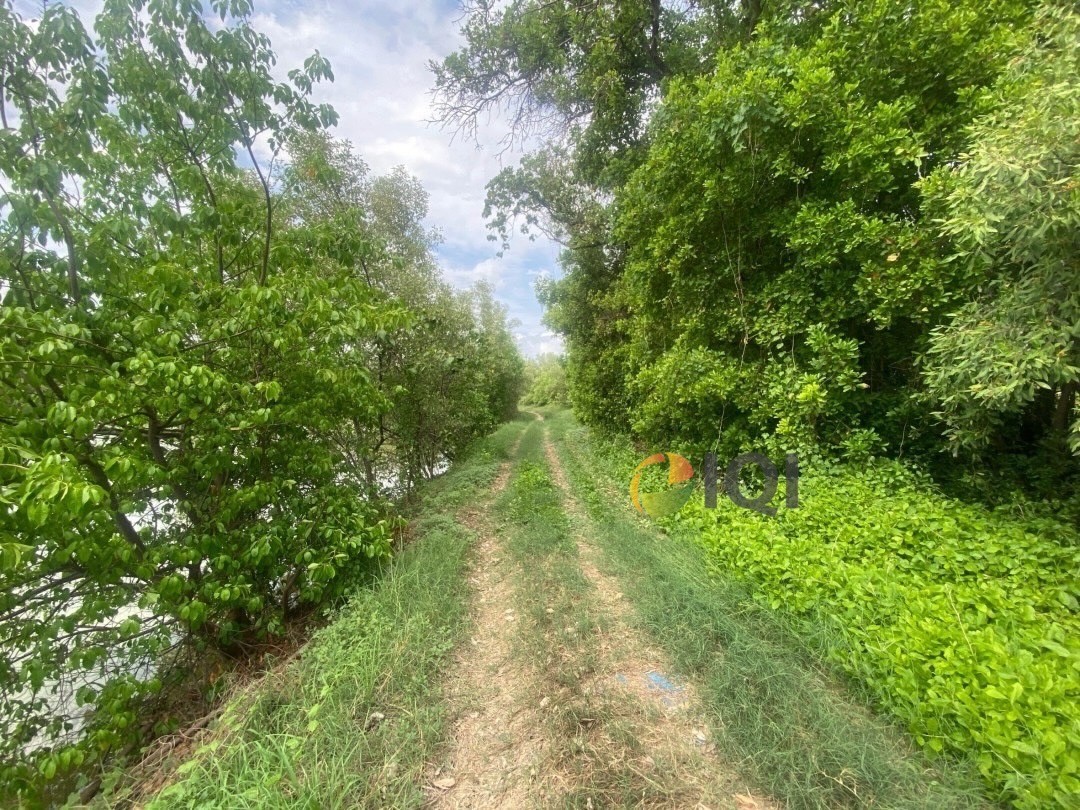 ขายที่ดินเปล่า เนื้อที่ 23 ไร่ 3 งาน 81 ตารางวา ตำบลบ้านคลองสวน อำเภอพระสมุทรเจดีย์