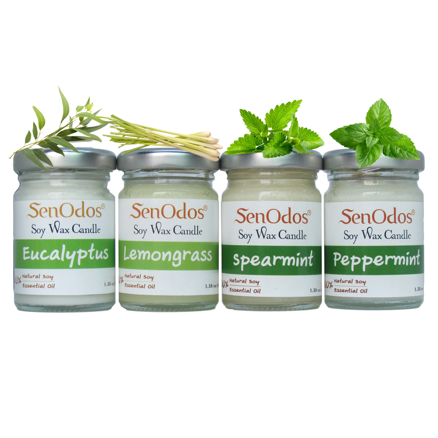 SenOdos เทียนหอมอโรม่า เทียนหอมสปา Minty Refresh Set - Soy Candles 45g x4กลิ่น(ยูคาลิปตัส,เปปเปอร์มินต์,สเปียร์มินต์และตะไคร้)