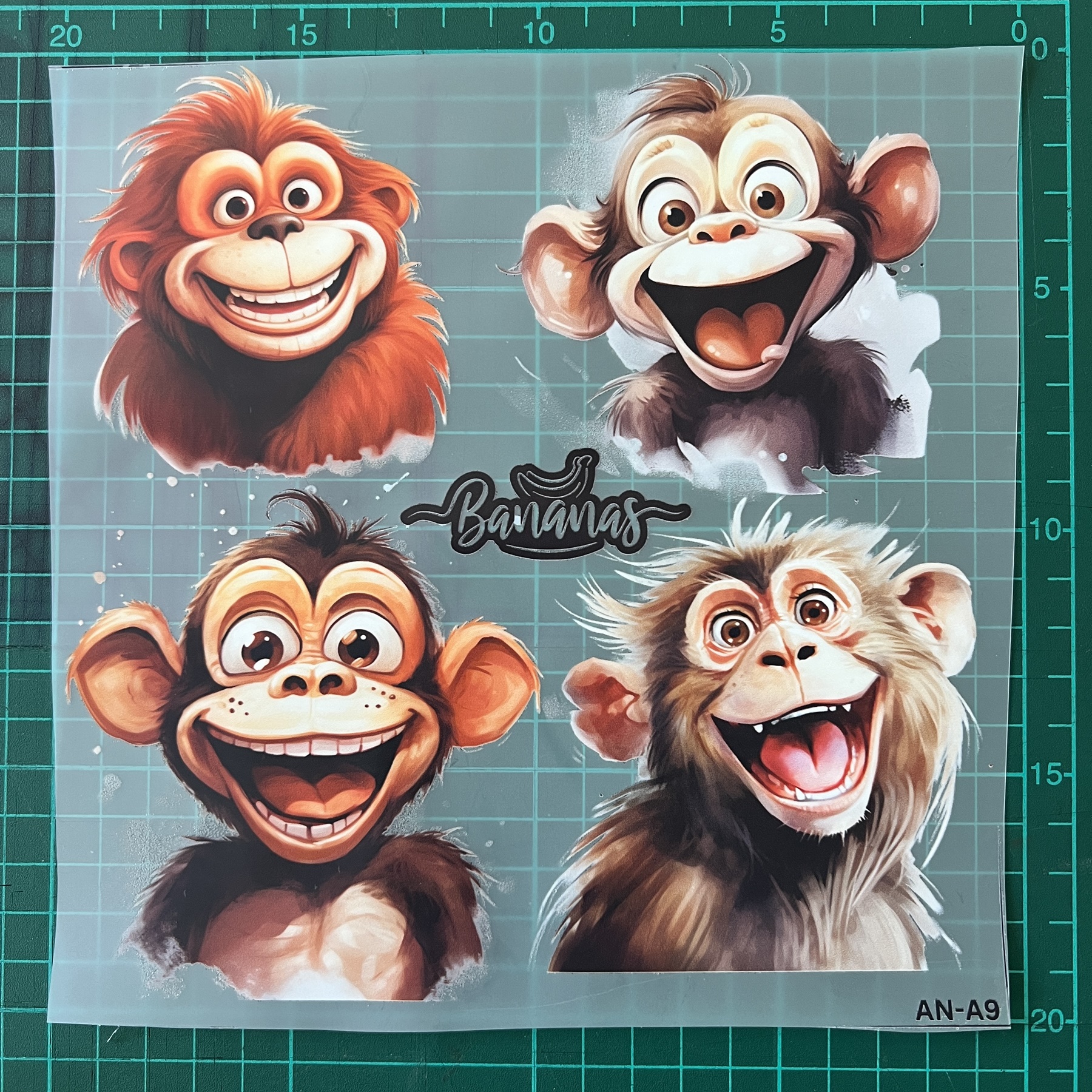 ตัวรีดติดผ้า ตัวรีดติดเสื้อ แบบสติกเกอร์ เซท ลิง พิมพ์ลาย สกรีนลาย ฟิลม์ DFT DTF