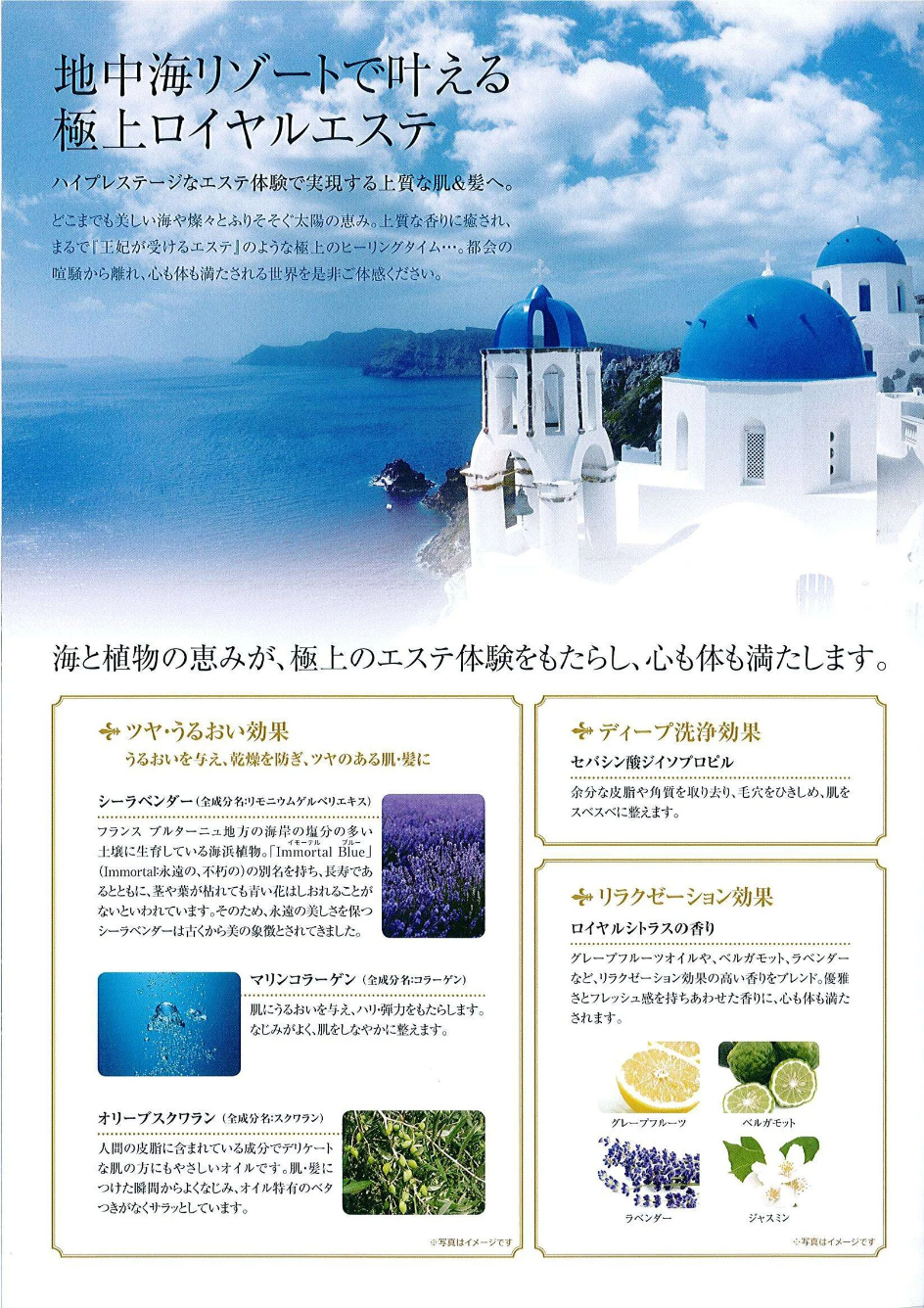 Pola Esthe Royer สุดยอดแชมพู ครีมนวดผม สบู่เหลวอาบน้ำ ระดับ Hi-End (ขวดแท้แบบปั้ม Original) ที่ใครไปญี่ปุ่นต้องติดใจทุกคน 400 มล.