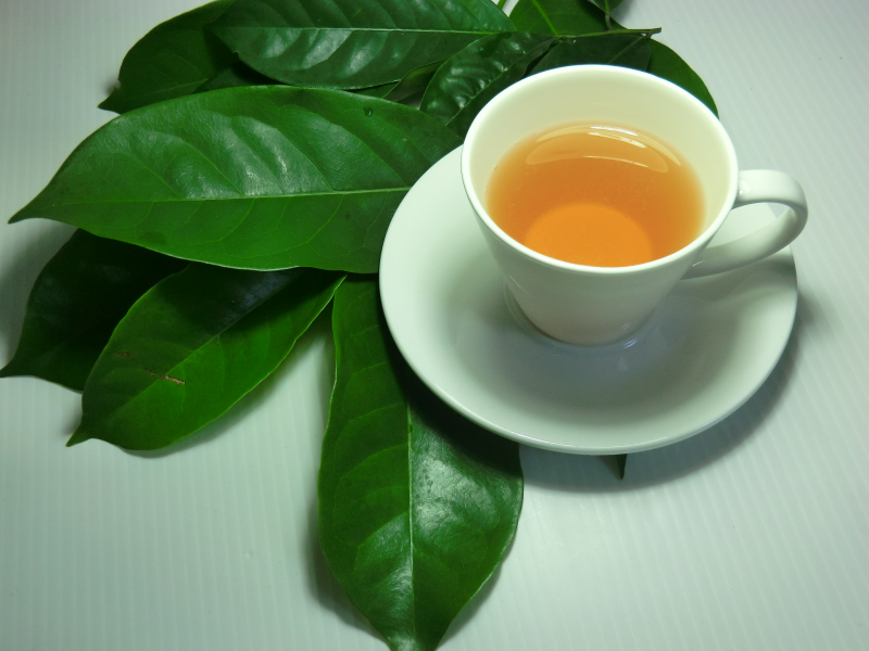 ใบทุเรียนเทศเพียว 100% ซอง 7 กรัม บรรจุ 30 ซอง สำหรับต้มต่อวัน เกรดพรีเมี่ยม พิฆาตมะเร็ง 1 ห่อ