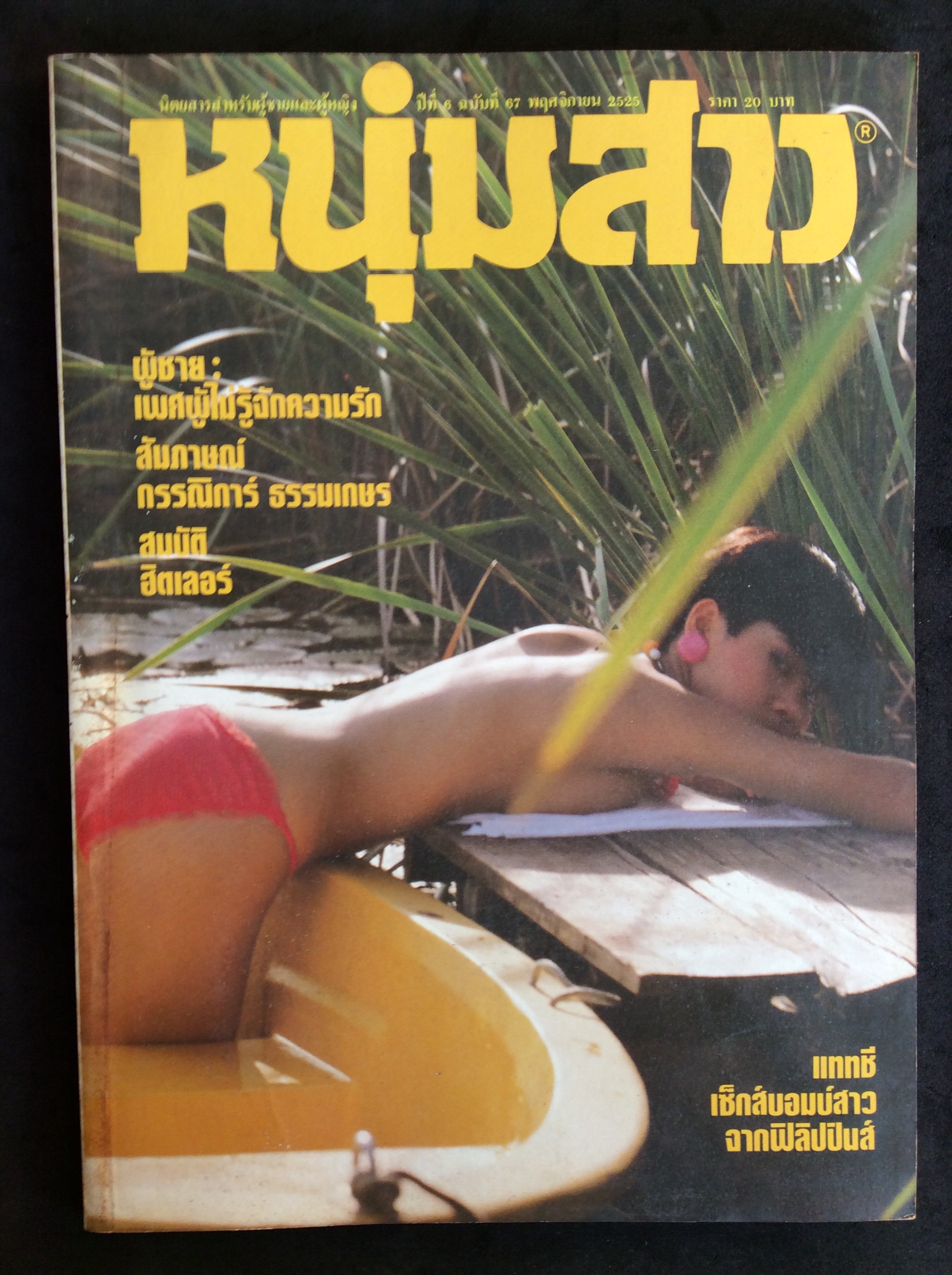 นิตสารหนุ่มสาว