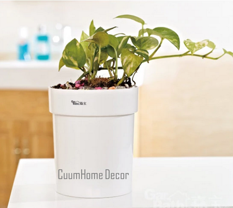 AP-03 ที่วางแก้วหรือกระถางต้นไม้ ยึดด้วยแผ่นฟิลม์