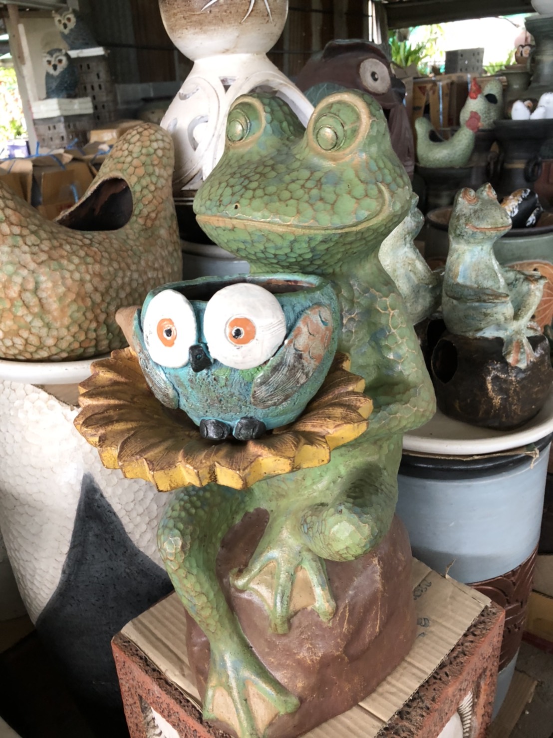 กระถางแคนตัส แฮนอม