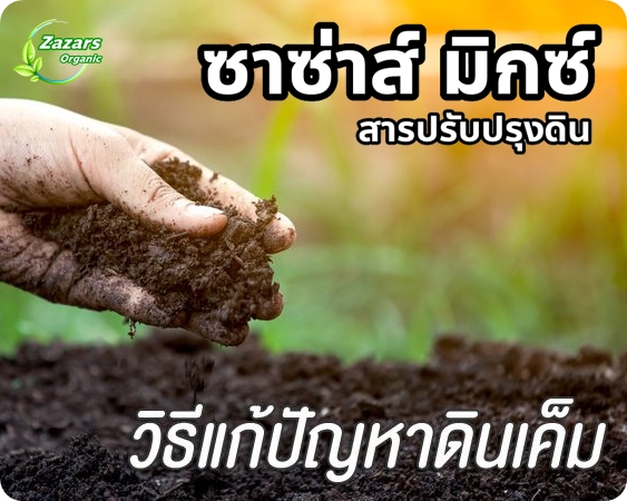 ซาซ่าส์ มิกซ์ (สารปรับปรุงดิน)