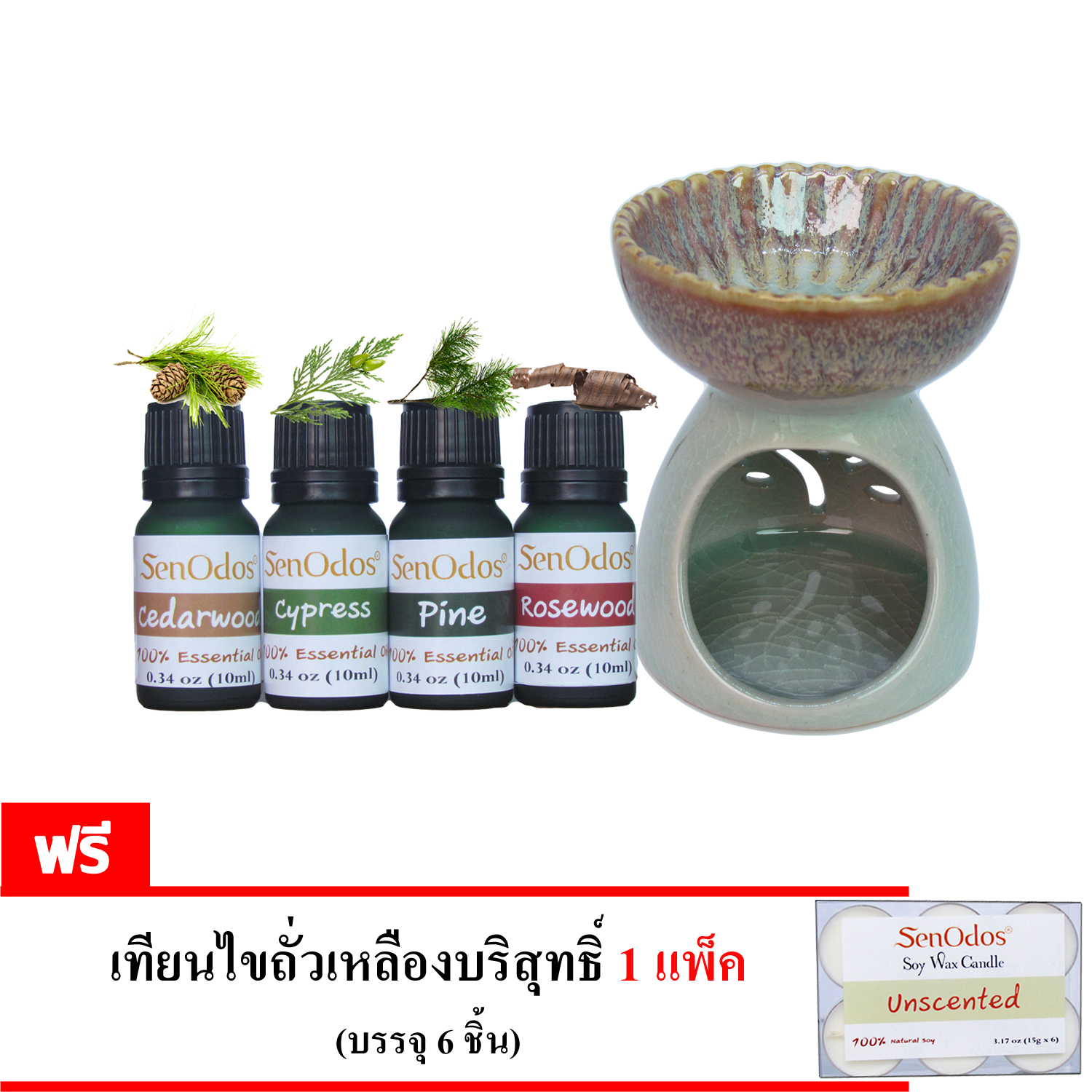SenOdos ชุดเตาเผา น้ำมันหอมระเหย เซรามิค ศิลาดล สีฟ้าอมเขียว + น้ำมันหอมระเหยแท้ กลิ่นหอมไม้ป่านานาพรรณ Woodsy Gorgeous Set 10ml x 4 ขวด ซีดาร์วูด/ไซเปรซ/ไพน/โรสวูด แถมฟรี!! เทียนไขถั่วเหลืองบริสุทธิ์ 15 g. X 6 ชิ้น ราคา 355 บาท