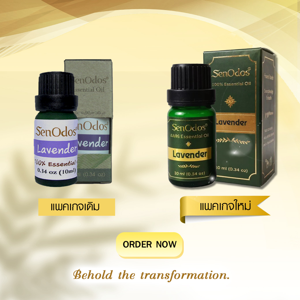 SenOdos น้ำมันหอมระเหย แท้ กลิ่นทีทรีออยด์ Tea Tree Pure Essential Oils 10ml