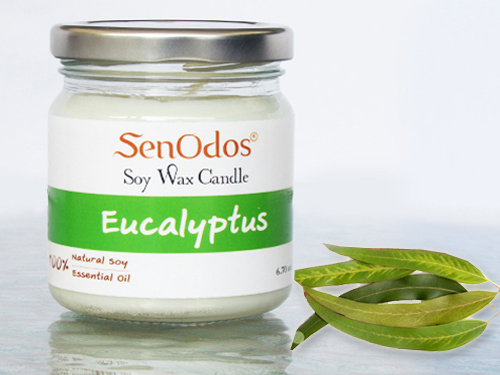 SenOdos เทียนหอม อโรม่า เทียนหอมสปา Eucalyptus Scented Soy Candle Aroma 190 g. (กลิ่นยูคาลิปตัส)