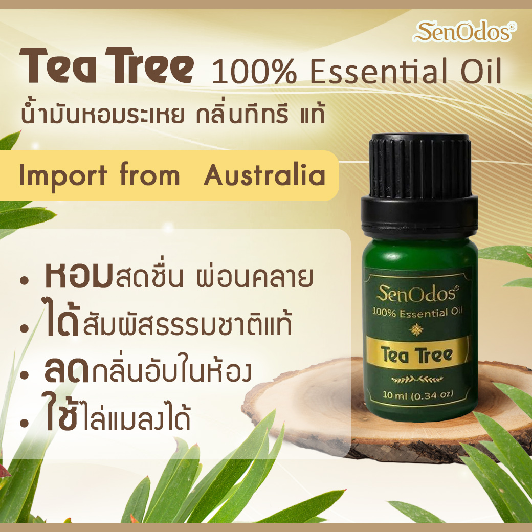 SenOdos น้ำมันหอมระเหย แท้ กลิ่นทีทรีออยด์ Tea Tree Pure Essential Oils 10ml