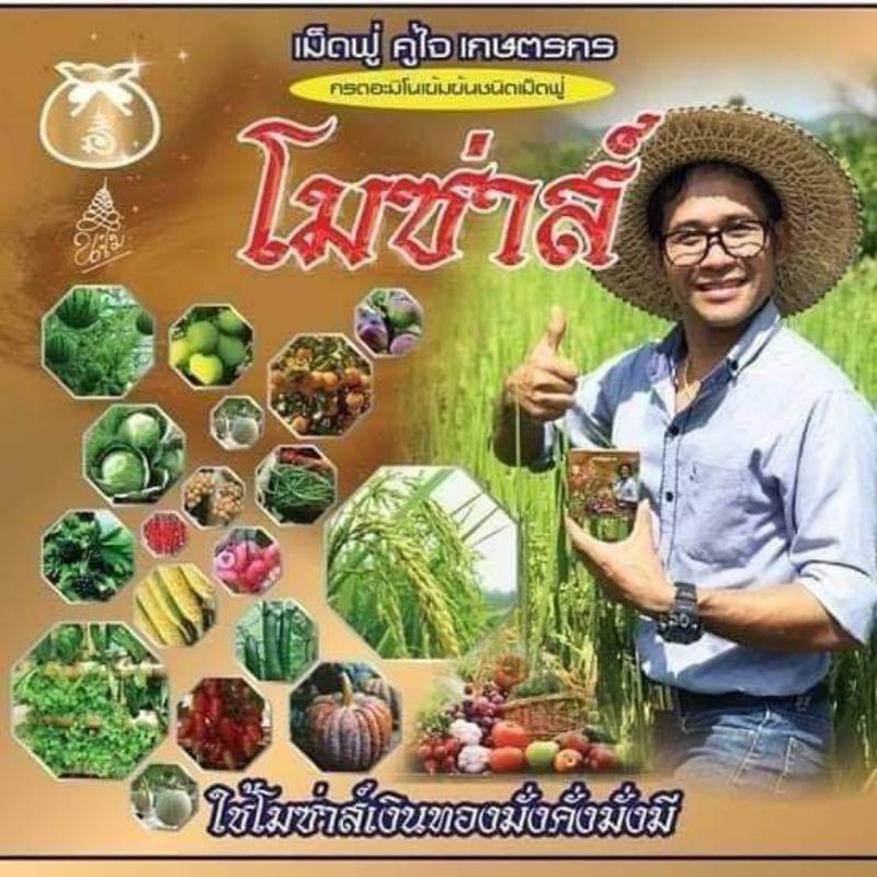 โมซ่าส์ อะมิโนจำเป็น ชนิดเม็ดฟู่