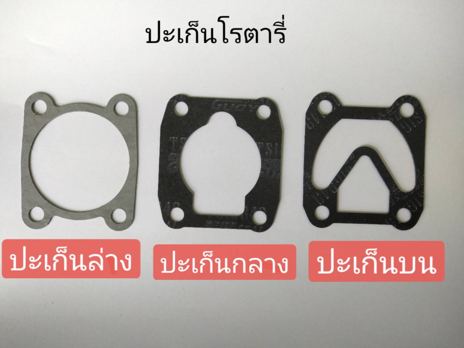 ชุดปะเก็นโรตารี่