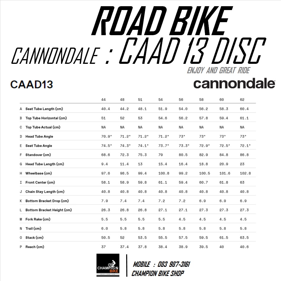 จักรยานเสือหมอบแคนนอนเดล CANNONDALE : CAAD 13 DISC - 2021 ROAD BIKE สีดำ-เงิน