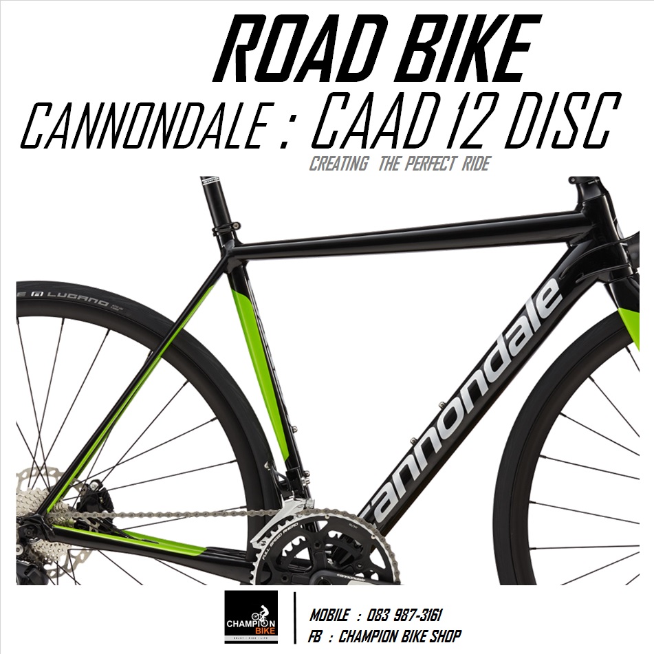 จักรยานเสือหมอบ CANNONDALE : CAAD12 DISC - 2017 ROAD BIKE