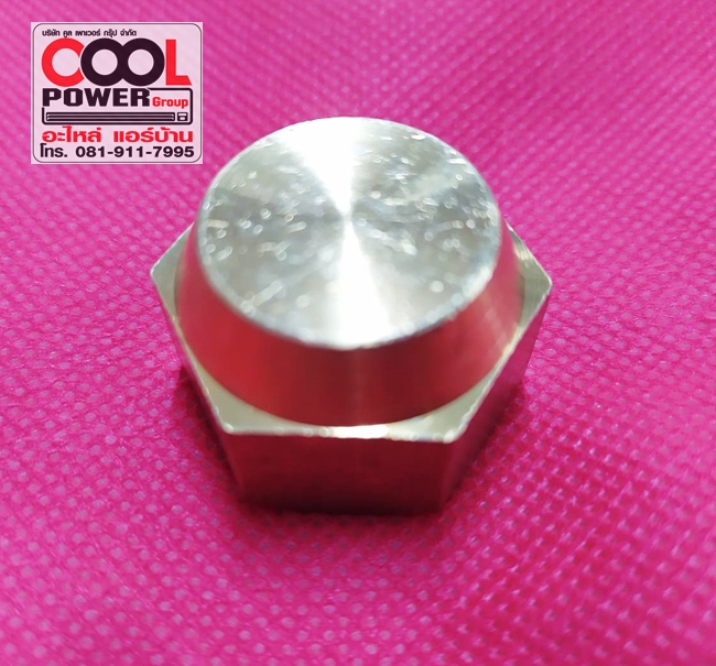แฟร์นัทปิด Cap Nut 1/2"