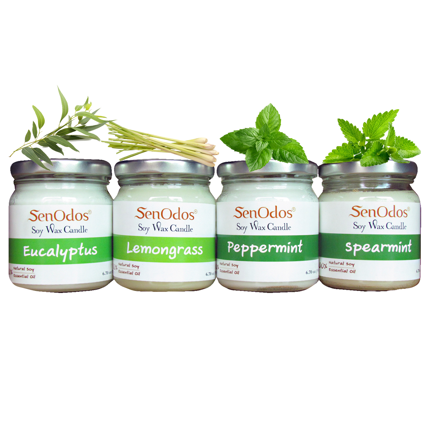 SenOdosเทียนหอมอโรม่า เทียนหอมสปา กลิ่นหอมมินต์สดชื่น Minty Refresh Big Set - Soy Candles ขนาดใหญ่190g x4กลิ่น(ยูคาลิปตัส,เปปเปอร์มินต์,สเปียร์มินต์และตะไคร้)