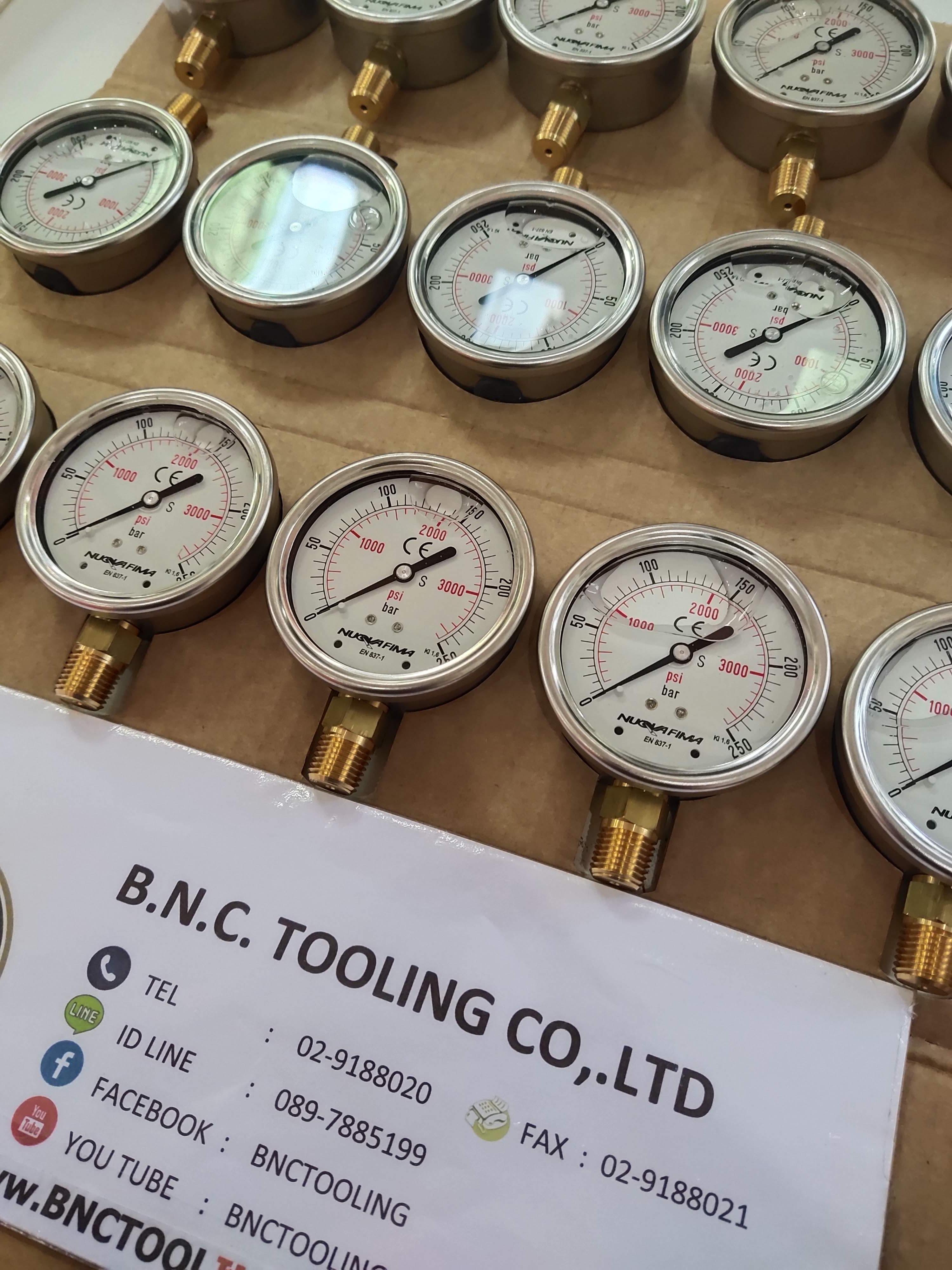 NUOVA FIMA - Pressure Gauge, ขนาดหน้าปัด 2.5 นิ้ว , เกลียวทองเหลืองลงล่าง , ขนาดความดัน 0 -250 PSI , ขนาดเกลียว 1/4 NPT , บรรจุน้ำมันกันกระแทก