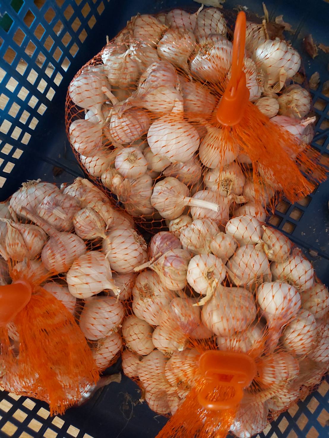 กระเทียมอินทรีย์ น้ำหนัก 1,000 กรัม พร้อมส่งจ้า