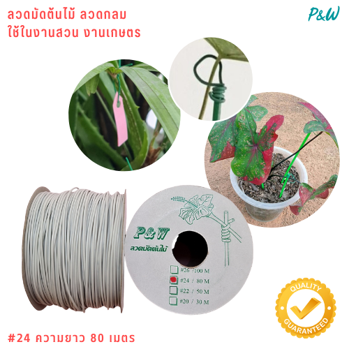ลวดมัดต้นไม้ ลวดผูกต้นไม้ ลวดขึงสแลน ลวดเพาะชำ ลวดผูกป้าย ลวดบอนไซ ลวดคล้องป้าย ลวดมัดงานเกษตร ลวดลวดมัดสแลน หุ้มแบบกลม-บจก.พลาสติกแอนด์ไวร์โปรดัก WT24-0001