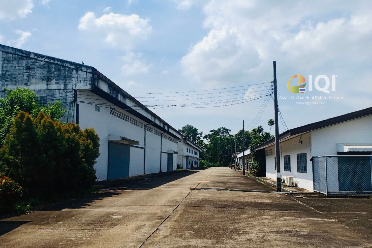 ขาย Factory หรือ warehouse โรงงานหรือโกดังสินค้า ติดถนนสายฉะเชิงเทรา - กบินทร์บุรี (ทล.304)