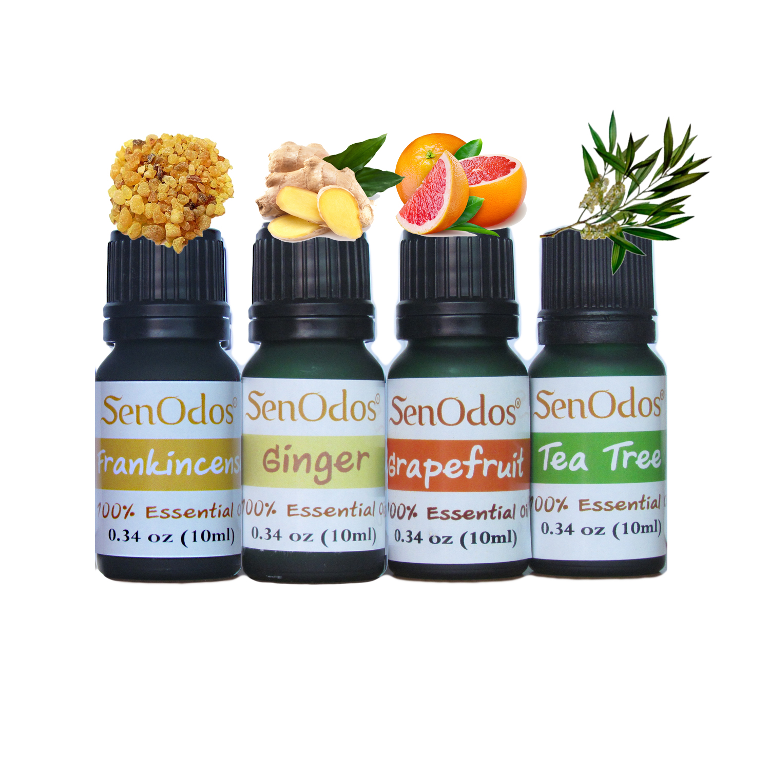 SenOdos ชุดเตาเผาน้ำมันหอมระเหย น้ำมันหอม อโรม่า ชุดกลิ่นสำหรับผู้หญิง เซ็ต2 Essential Oil For Women Set2 10 ml x 4 กลิ่น (กลิ่นกำยาน, กลิ่นขิง, กลิ่นเกรปฟรุต, กลิ่นทีทรีออยด์)