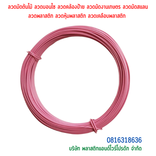 ลวดมัดต้นไม้ ลวดผูกต้นไม้ ลวดขึงสแลน ลวดเพาะชำ ลวดผูกป้าย ลวดบอนไซ ลวดคล้องป้าย ลวดมัดงานเกษตร ลวดลวดมัดสแลน หุ้มแบบกลม-บจก.พลาสติกแอนด์ไวร์โปรดัก SKU-00589