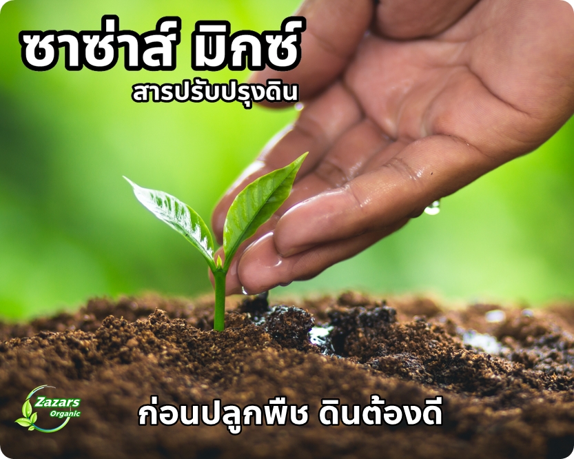 ซาซ่าส์ มิกซ์ (สารปรับปรุงดิน)